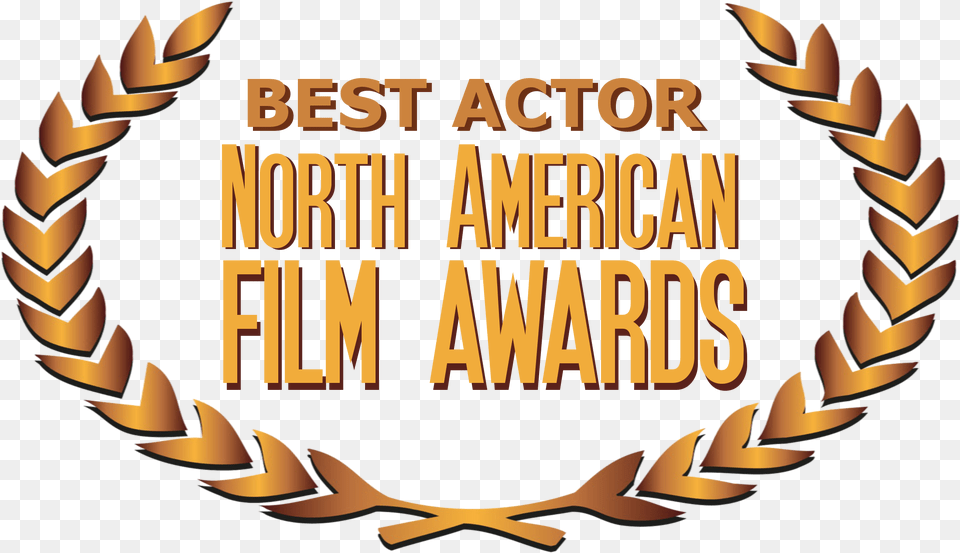 Picture Movie Awards 2017 Png Image