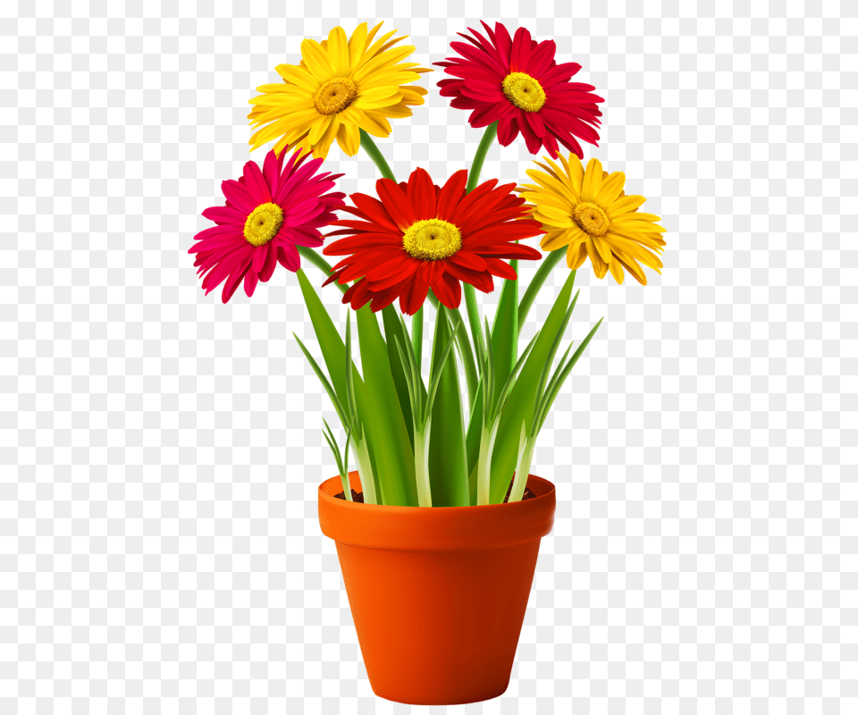 Picture My Garden Valley Flowers, Daisy, Flower, Plant, Potted Plant Free Png