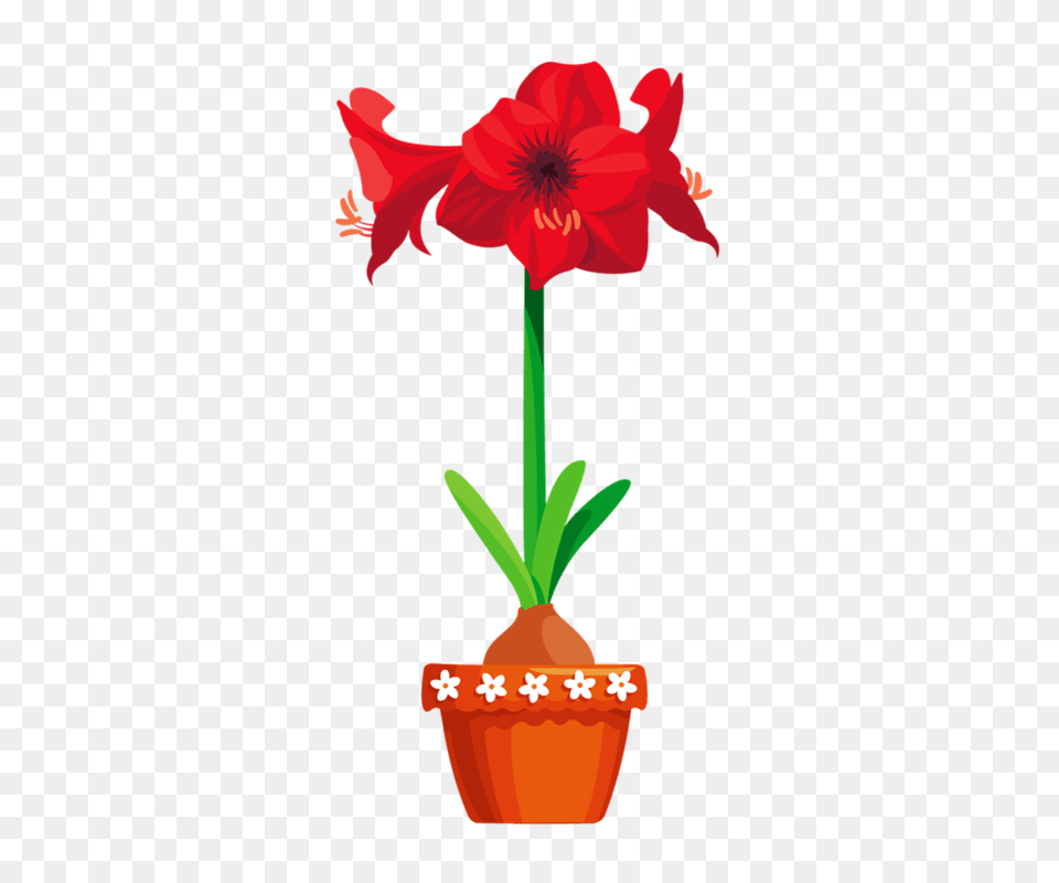 Picture My Garden Valley Flowers, Flower, Plant, Amaryllis, Rose Free Transparent Png