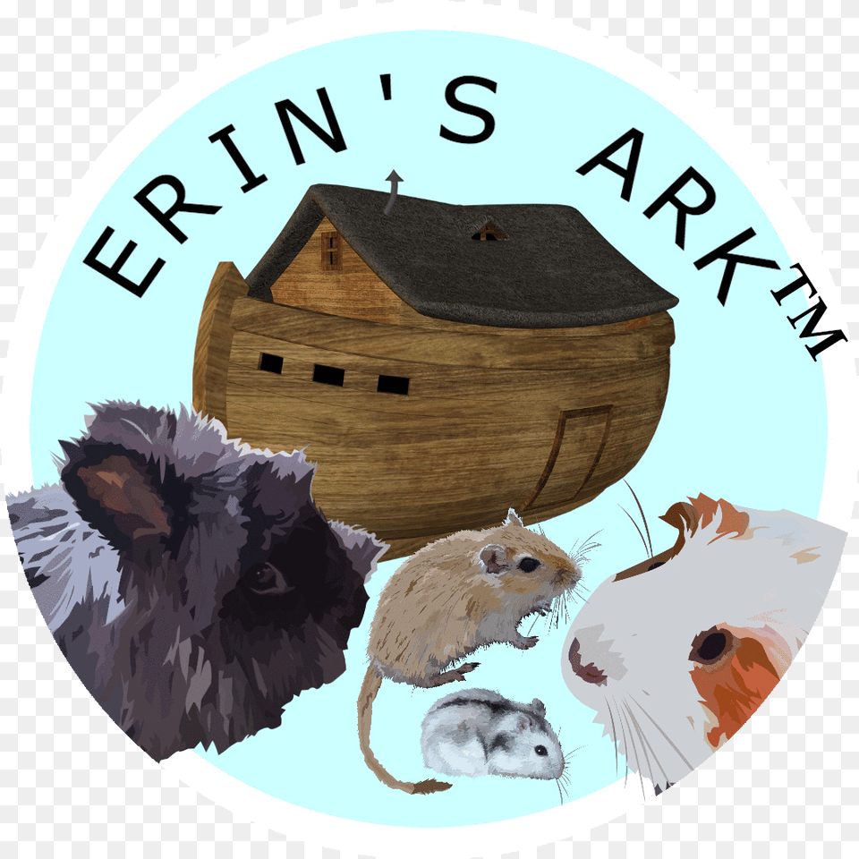 Picture Noah39s Ark Background, Animal, Mammal, Rat, Rodent Png