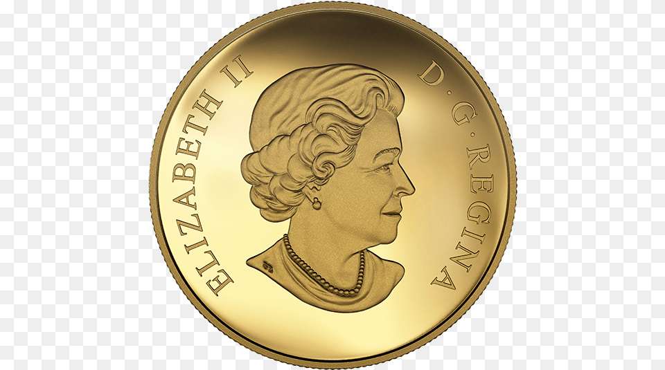 Picture Of, Gold, Coin, Money, Person Free Png Download