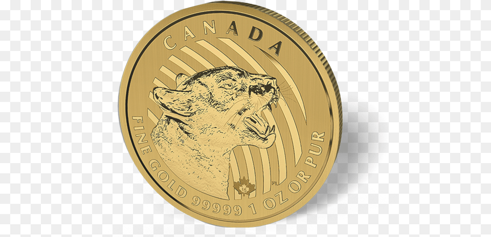 Picture Of 2015 1 Oz Canadian Gold Maple Leaf Growling Gold Coin, Money, Animal, Cat, Mammal Free Transparent Png