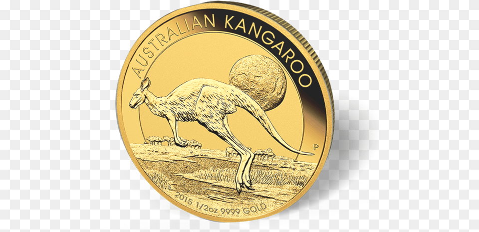 Picture Of 2016 12 Oz Australian Gold Kangaroo 2015 Australian Kangaroo Gold Coin, Money, Animal, Mammal Free Transparent Png