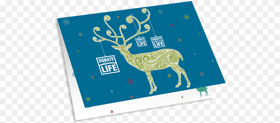 Picture Of 2018 Holiday Card, Animal, Deer, Envelope, Greeting Card Free Png