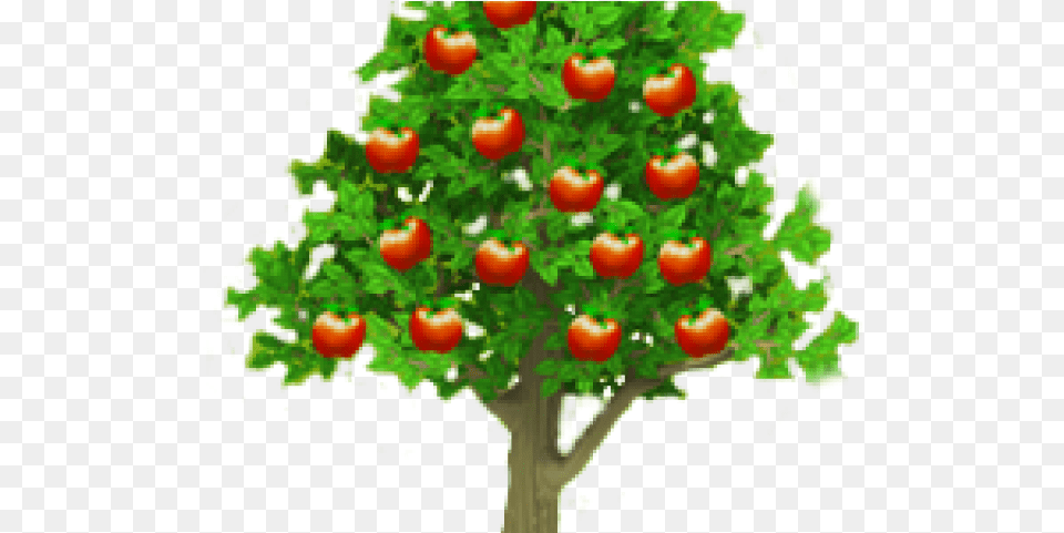 Picture Of Apple Tree Apple Tree, Plant, Food, Produce, Tomato Free Png Download