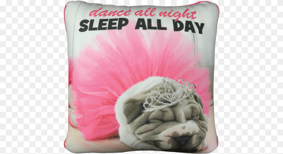 Picture Of Avanti Sleep All Day Microbead Pillow Iscream Sleep All Day Microbead Pillow, Cushion, Home Decor, Animal, Bulldog Png