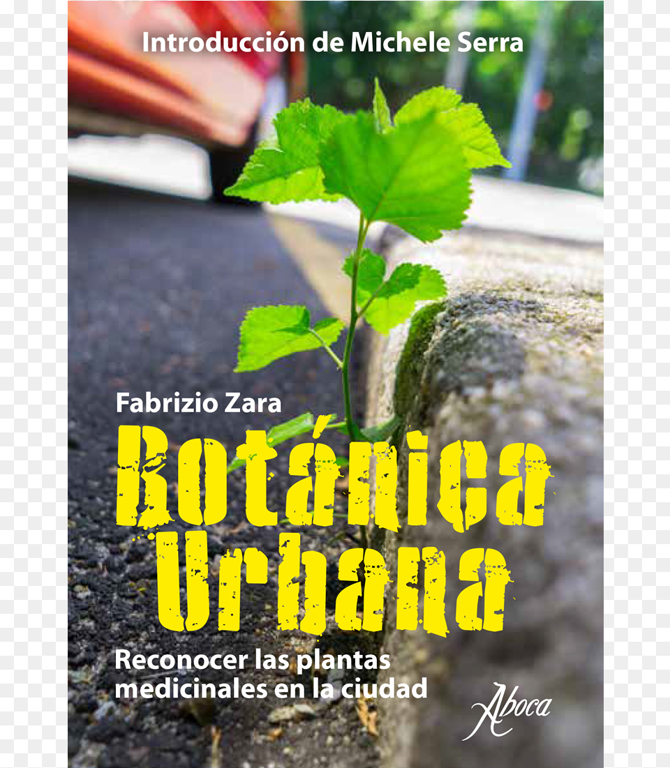 Picture Of Botnica Urbana Poster, Soil, Leaf, Plant, Path Png