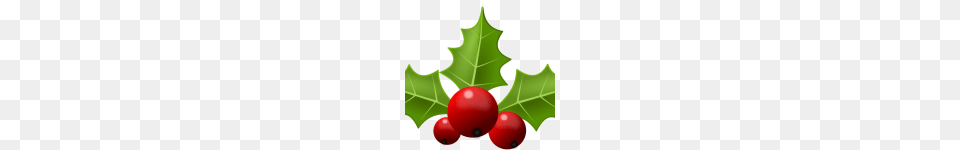 Picture Of Christmas Holly Clip Art Christmas Holly Clip Art, Leaf, Plant, Food, Fruit Png