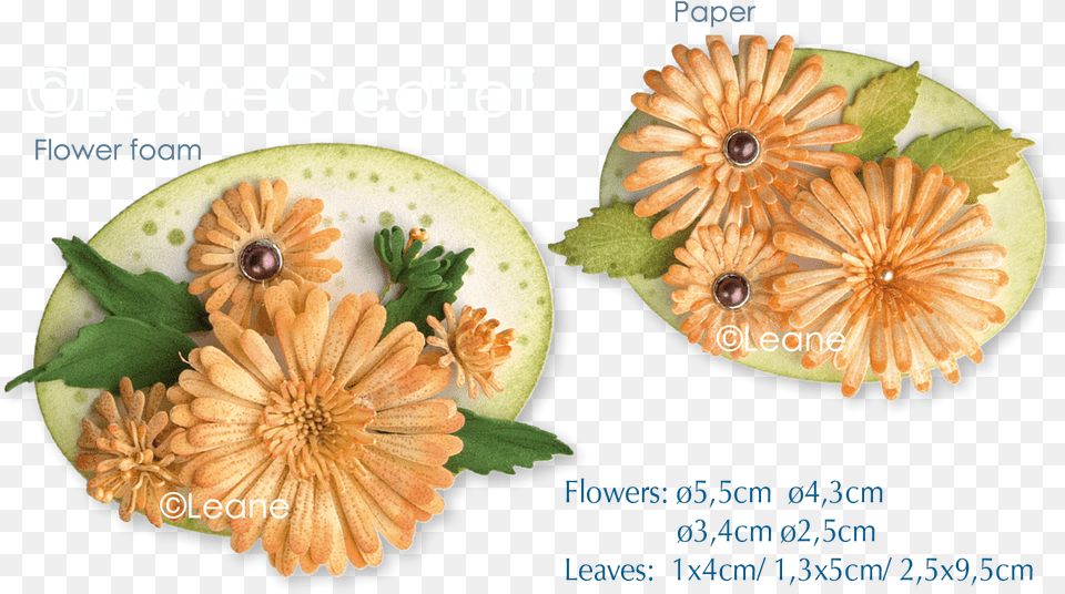 Picture Of Clear Stamp 3d Flower Chrysanthemum African Daisy, Food, Fruit, Plant, Produce Png