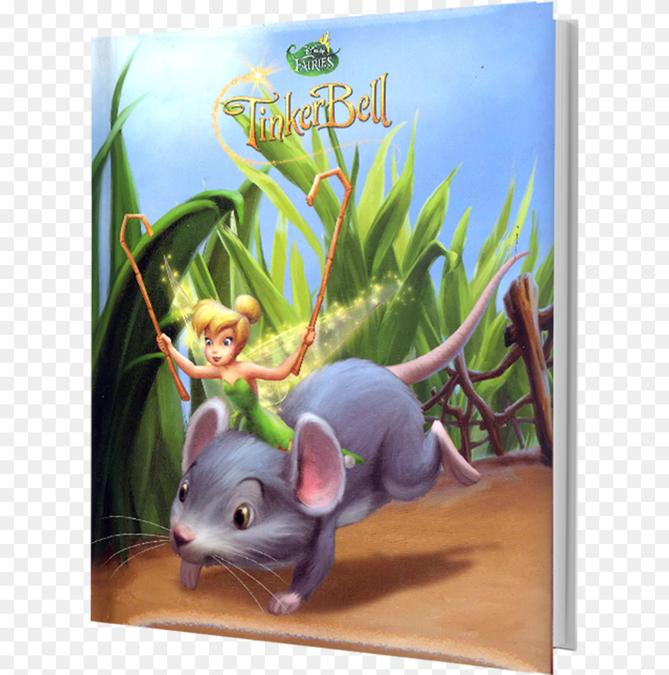 Picture Of Disney Fairies Rat, Child, Female, Girl, Person Png