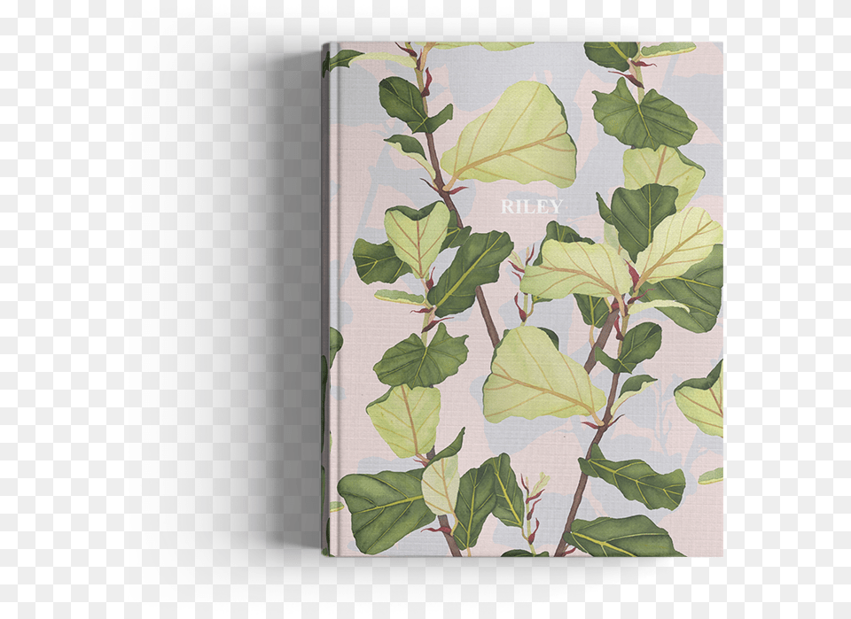 Picture Of Fiddle Leaf Fig Journal, Plant Free Png Download
