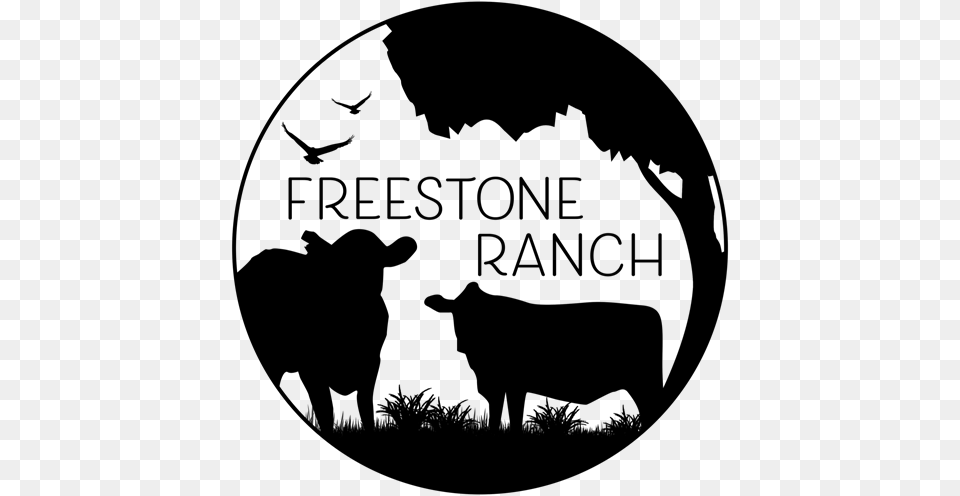 Picture Of Freestone Ranch Grassfed Ground Beef Ground Beef, Photography, Animal, Cattle, Livestock Free Transparent Png