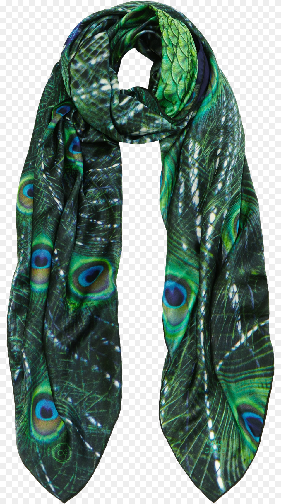 Picture Of Galilee Peacock, Clothing, Scarf, Stole, Accessories Free Transparent Png