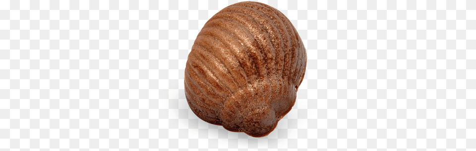 Picture Of Gamme Chocolatsrc Http Profiterole, Animal, Clam, Food, Invertebrate Free Png Download