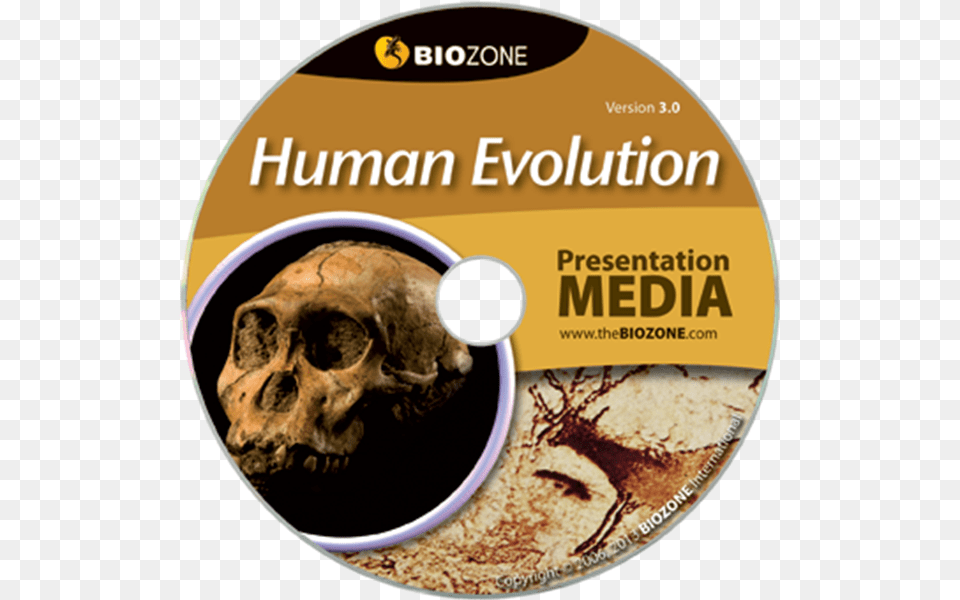 Picture Of Human Evolution Evolution, Disk, Dvd Free Png
