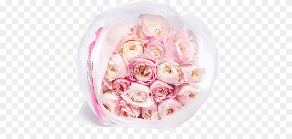 Picture Of Je T Adore Garden Roses, Rose, Plant, Petal, Flower Bouquet Free Png