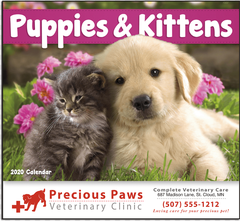 Picture Of Puppies Amp Kittens Wall Calendar Cute Wallpapers Of Animals, Animal, Canine, Dog, Mammal Png Image