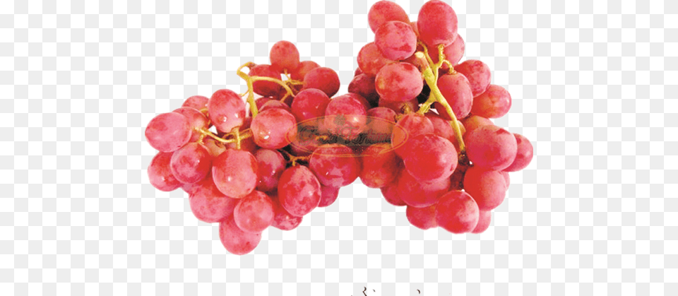 Picture Of Red Muscat Grapes Grape, Food, Fruit, Plant, Produce Free Png Download