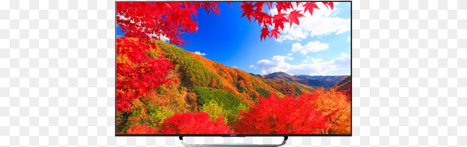 Picture Of Sony Bravia Kd 43x8500c 4k Ultra Hd Smart Sony Led Tv 43 Inch Price In India, Screen, Scenery, Plant, Outdoors Free Transparent Png