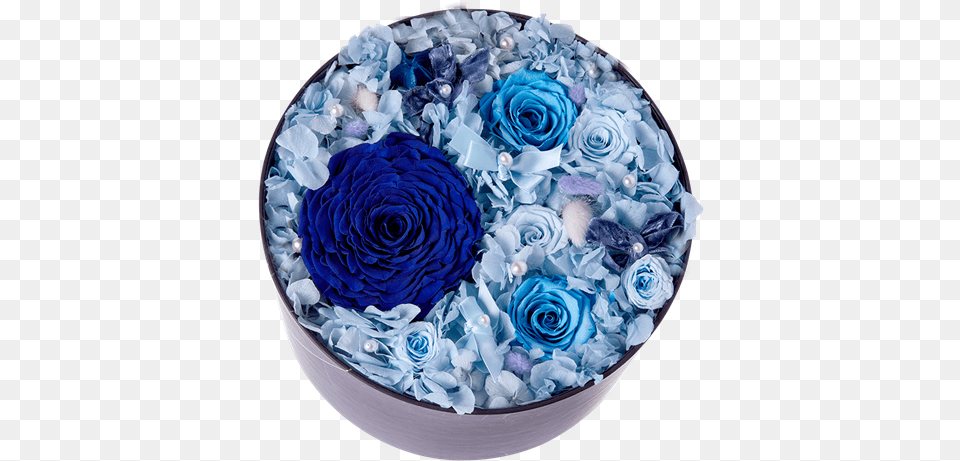 Picture Of Starry Sky Flower Blue Box, Birthday Cake, Plant, Food, Flower Bouquet Png Image