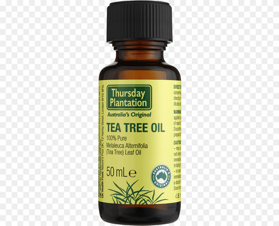 Picture Of Thursday Plantation Tea Tree Oil 100 Pure Tea Tree Oil From Nz, Astragalus, Plant, Herbs, Herbal Png Image