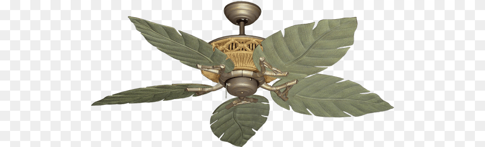 Picture Of Tiki Antique Bronze With Tropical Dixie Belle Ceiling Fan With Light, Appliance, Ceiling Fan, Device, Electrical Device Free Transparent Png