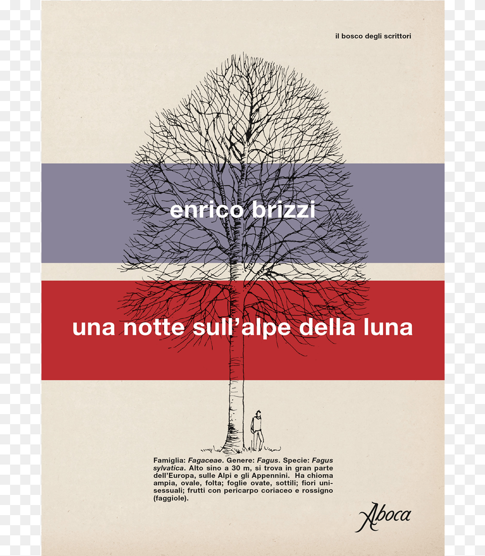 Picture Of Una Notte Sull Alpe Della Luna Aboca Villalta, Advertisement, Plant, Poster, Tree Free Png Download