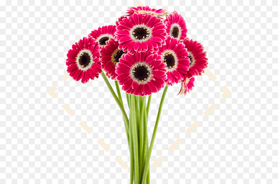 Picture Offlowers Svg Stock Welcome To Bayview Flowers Good Afternoon, Plant, Pattern, Graphics, Flower Bouquet Free Transparent Png