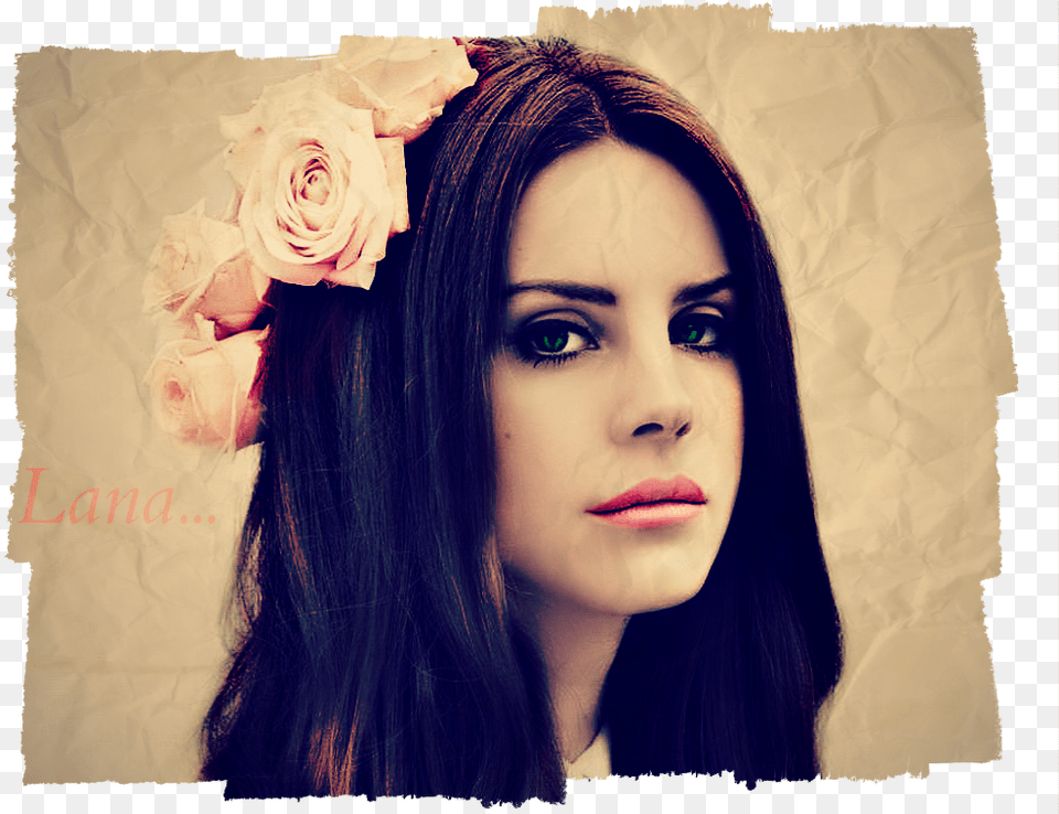 Picture On Her Profile Lana Del Rey, Rose, Plant, Flower, Flower Arrangement Png Image