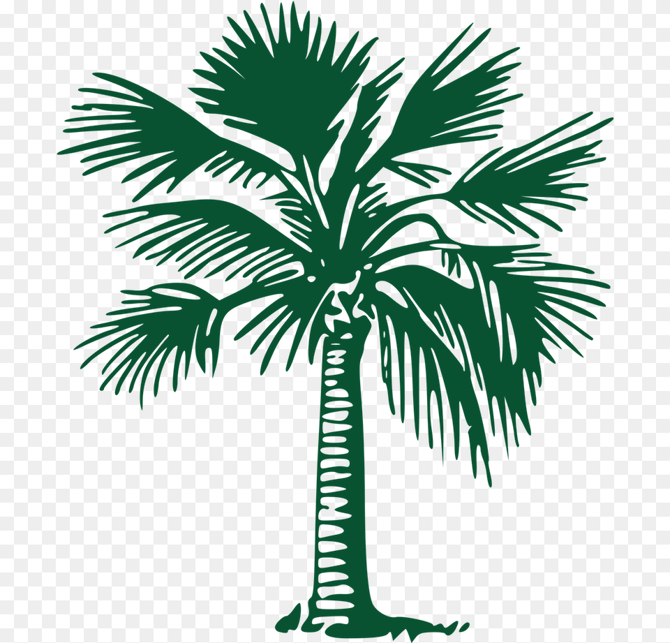 Picture Palm Trees, Palm Tree, Plant, Tree, Animal Free Transparent Png
