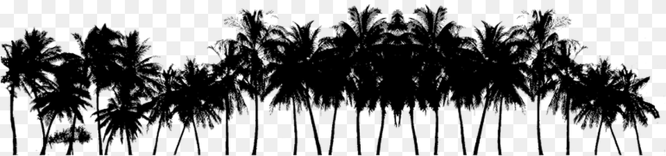 Picture Palm Trees Black, Gray Free Png