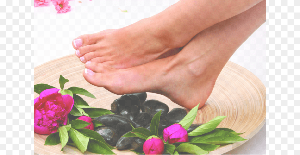 Picture Pedicure, Flower, Person, Plant, Rose Free Png Download