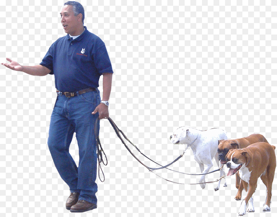 Picture Police Dog, Pants, Adult, Man, Clothing Png