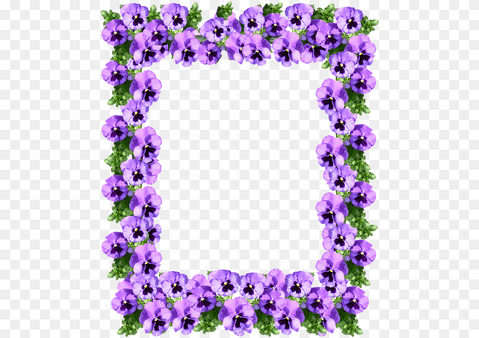 Picture Purple Floral Border Designs, Flower, Geranium, Plant, Anemone Png Image