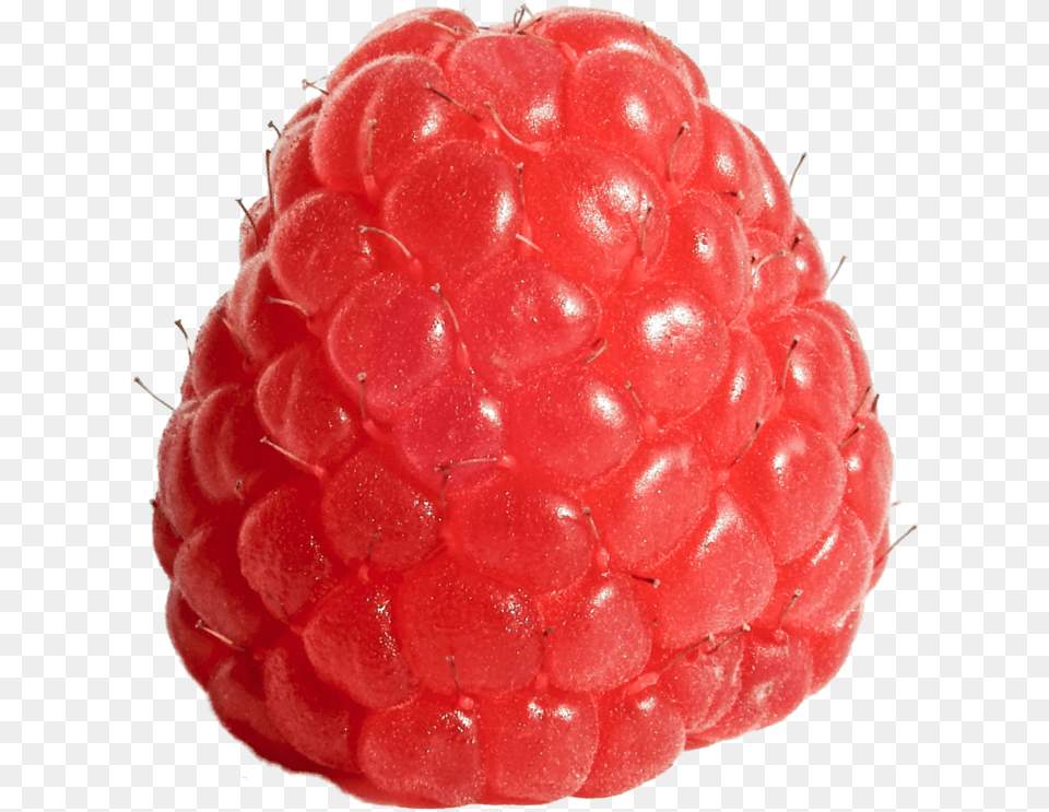 Picture Raspberry, Berry, Food, Fruit, Plant Free Png Download