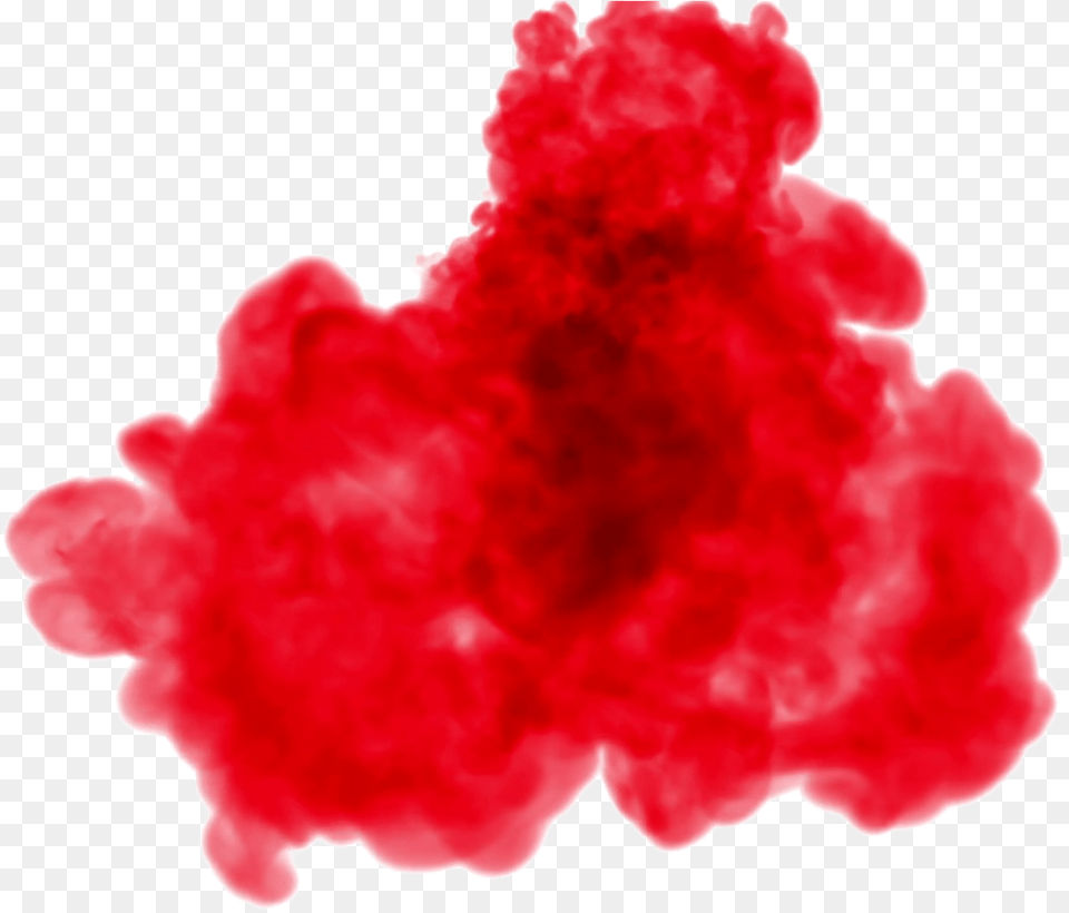 Picture Red Smoke Hd, Carnation, Flower, Plant Free Png