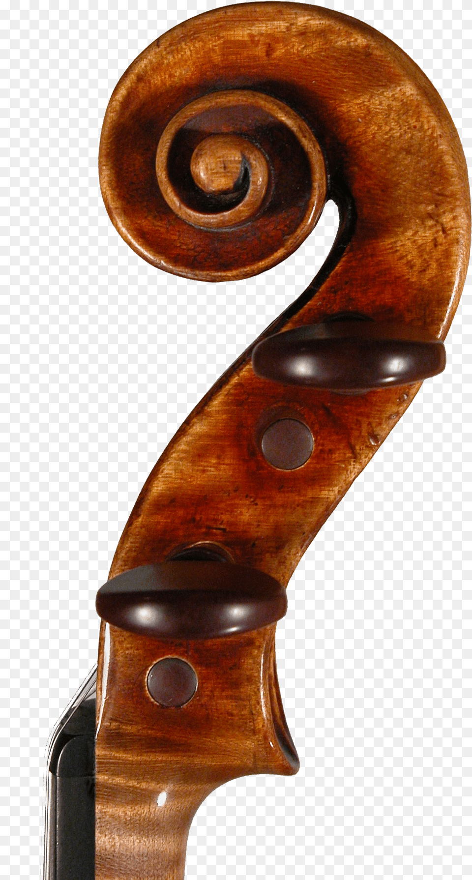 Picture Right Side Scroll Violin Violin Scroll, Cello, Musical Instrument Free Png