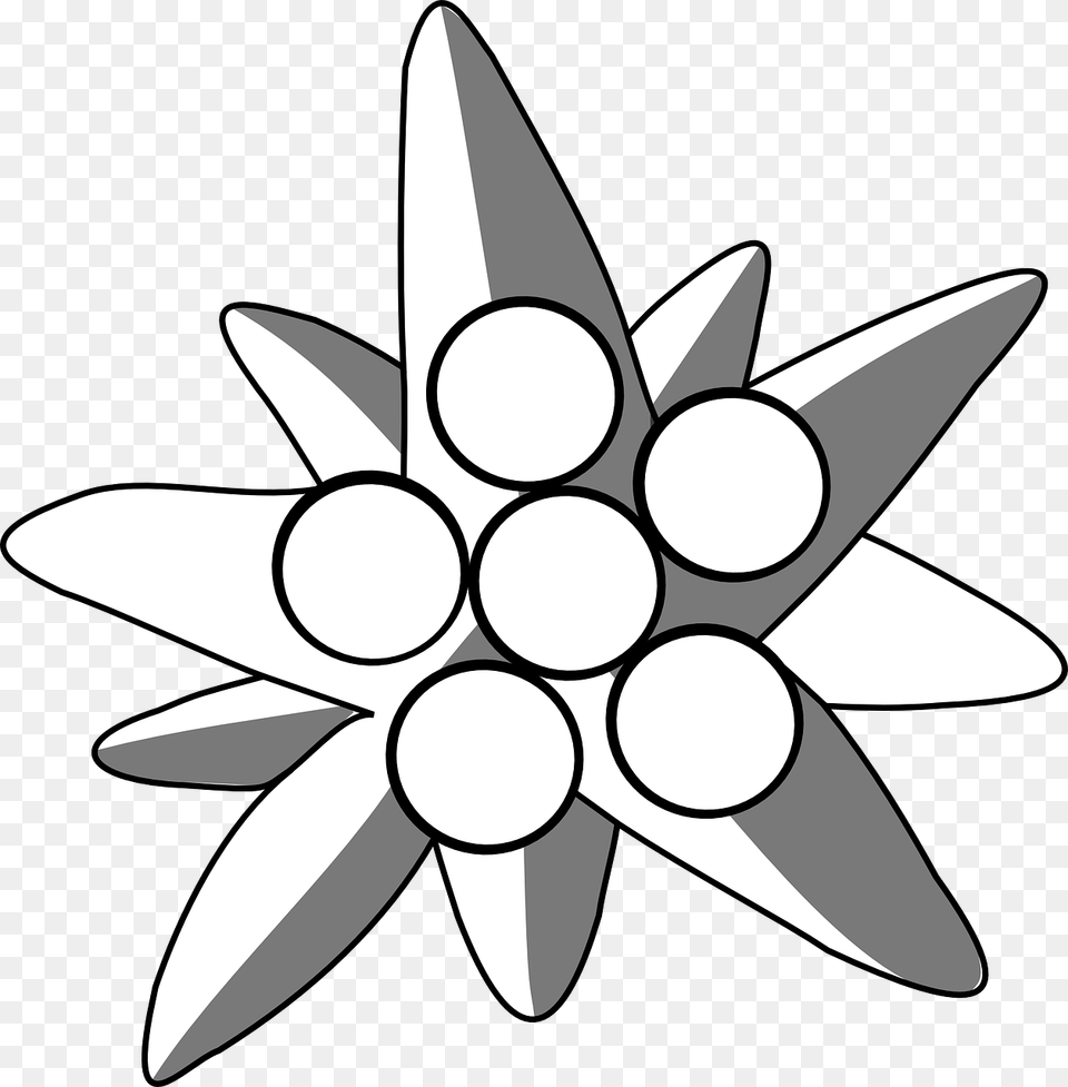 Picture Royalty Edelweiss Drawing Alpine Flower Edelweiss, Art, Stencil, Plant, Weapon Free Transparent Png
