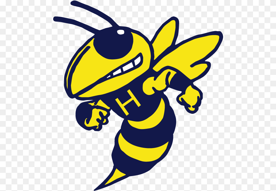 Picture Royalty Hillsdale High School Hornets, Animal, Bee, Honey Bee, Insect Free Png