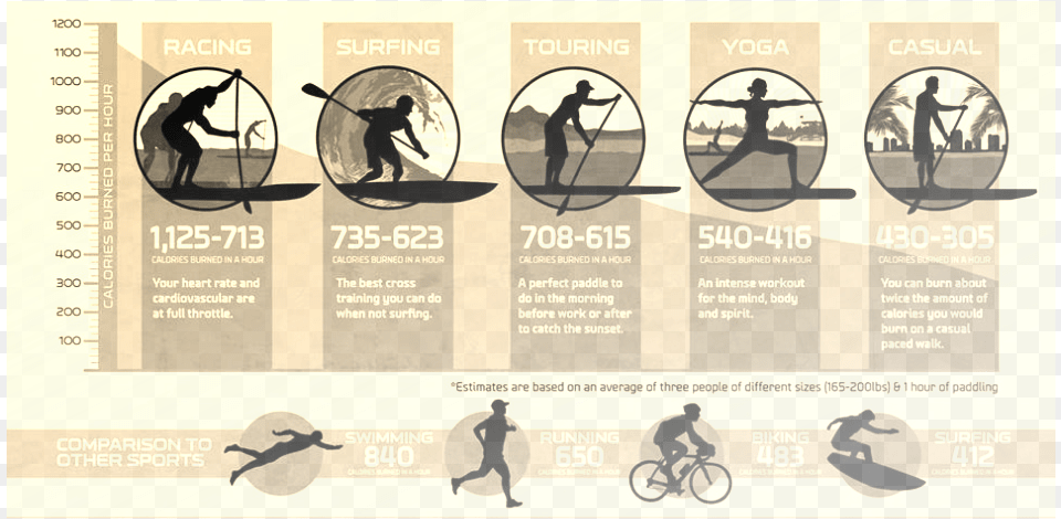 Picture Stand Up Paddling Infographic, Advertisement, Poster, Person, Bicycle Png