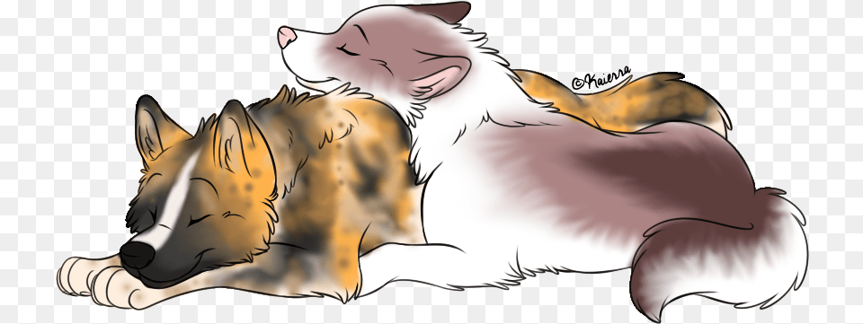 Picture Swift Fox, Animal, Canine, Collie, Dog Free Transparent Png