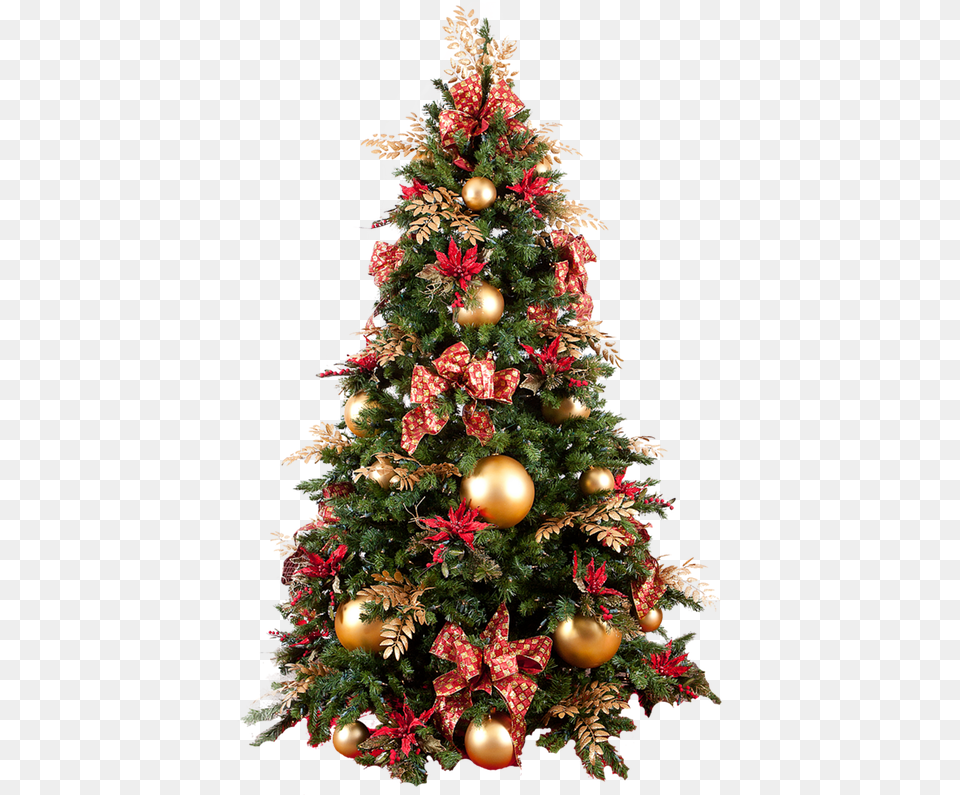 Picture Transparent Christmas Tree, Plant, Christmas Decorations, Festival, Christmas Tree Free Png Download