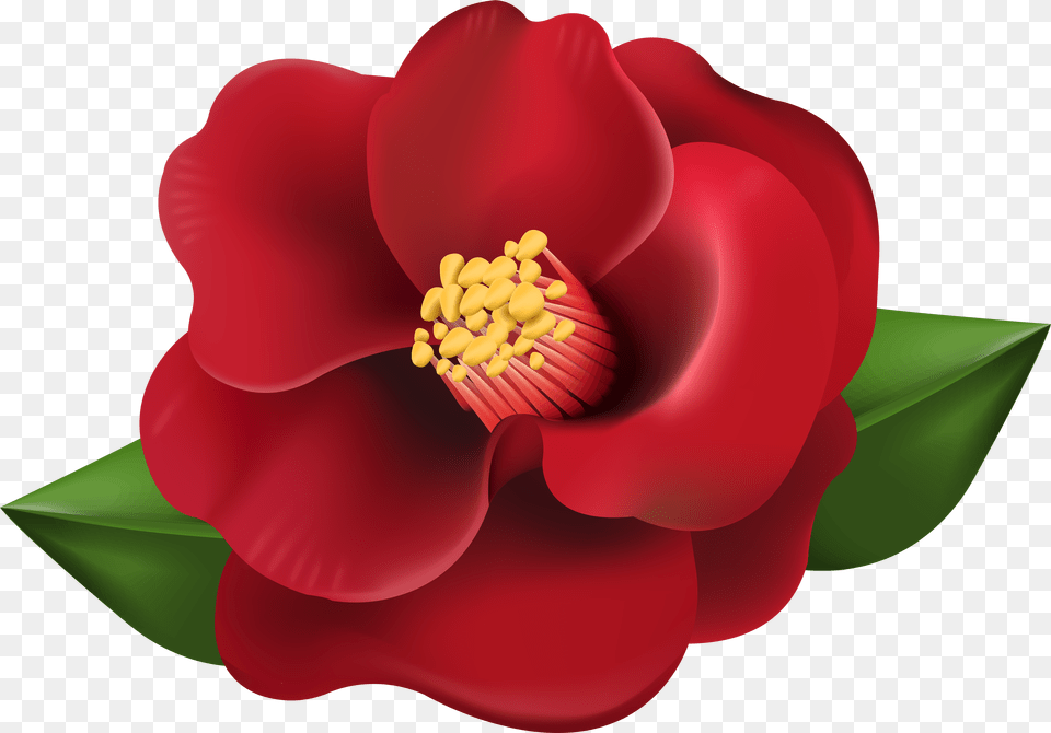 Picture Transparent Red Flower Clipart Png