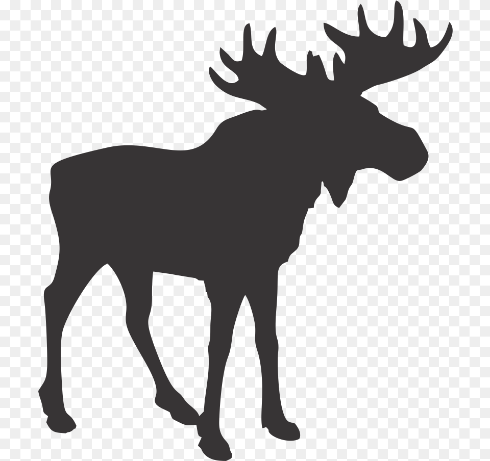 Picture Transparent Stock Blue Trading Company Moose Silhouette, Animal, Mammal, Wildlife, Person Png Image