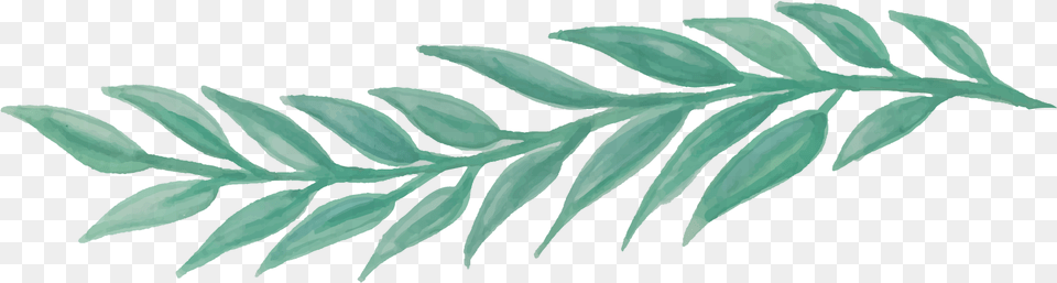 Picture Watercolor Leaf Design, Herbal, Herbs, Plant, Tree Free Png Download