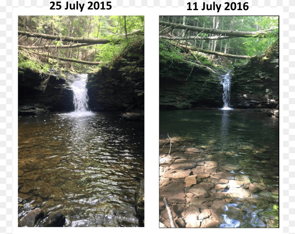 Picture Waterfall, Creek, Water, Vegetation, Tree Free Png Download