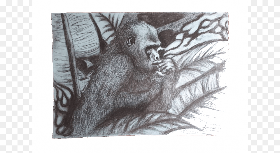 Picture With Charcoal Gorilla Painting, Animal, Ape, Mammal, Wildlife Png Image