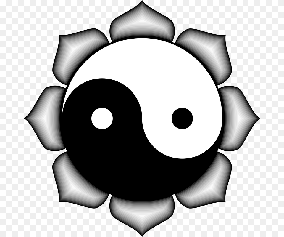 Picture Yin Yang, Sphere, Chandelier, Lamp Free Png