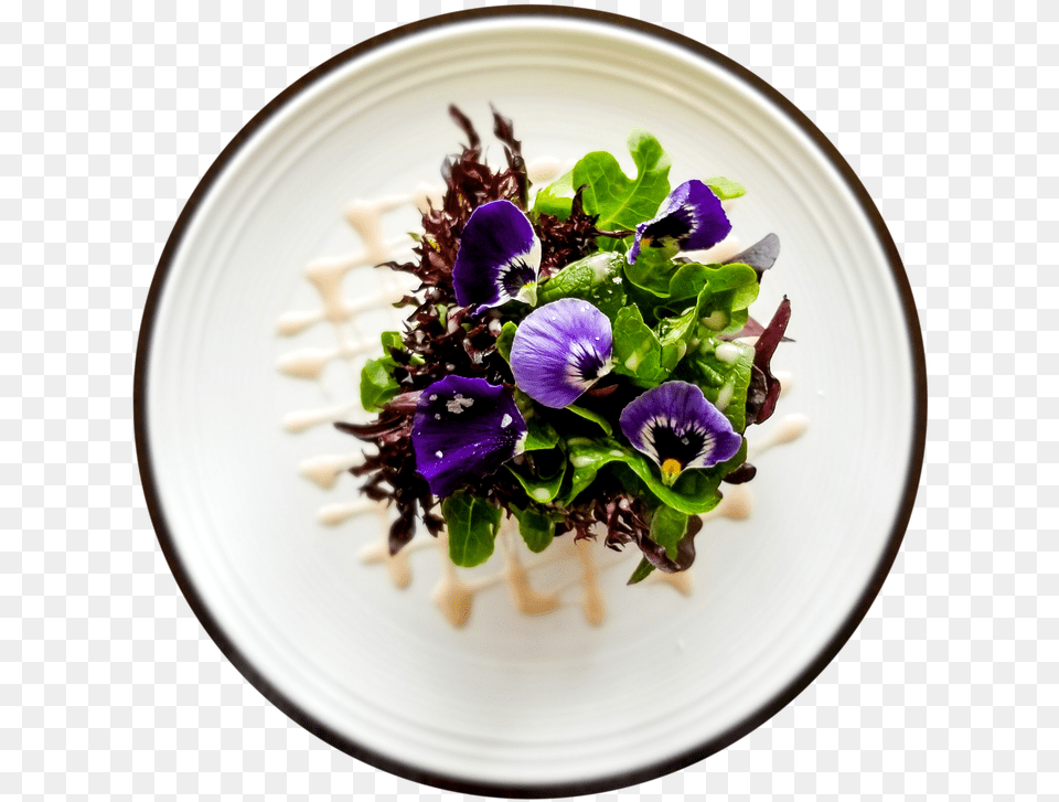 Pictured Aerial View Of Menu Item, Food, Food Presentation, Flower, Plant Free Transparent Png