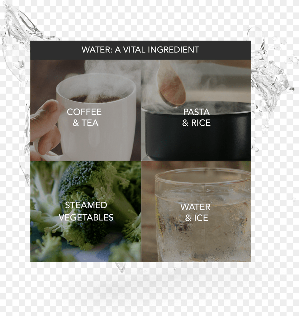 Pictures And Icons Representing Coffee Amp Tea Pasta Chlorophyta, Broccoli, Food, Plant, Produce Png